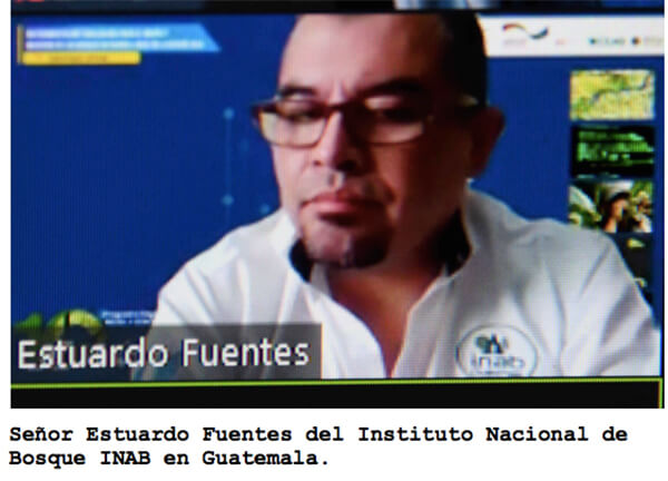 marena-en-seminario-sobre-metodologias-mapeo-de-bosques